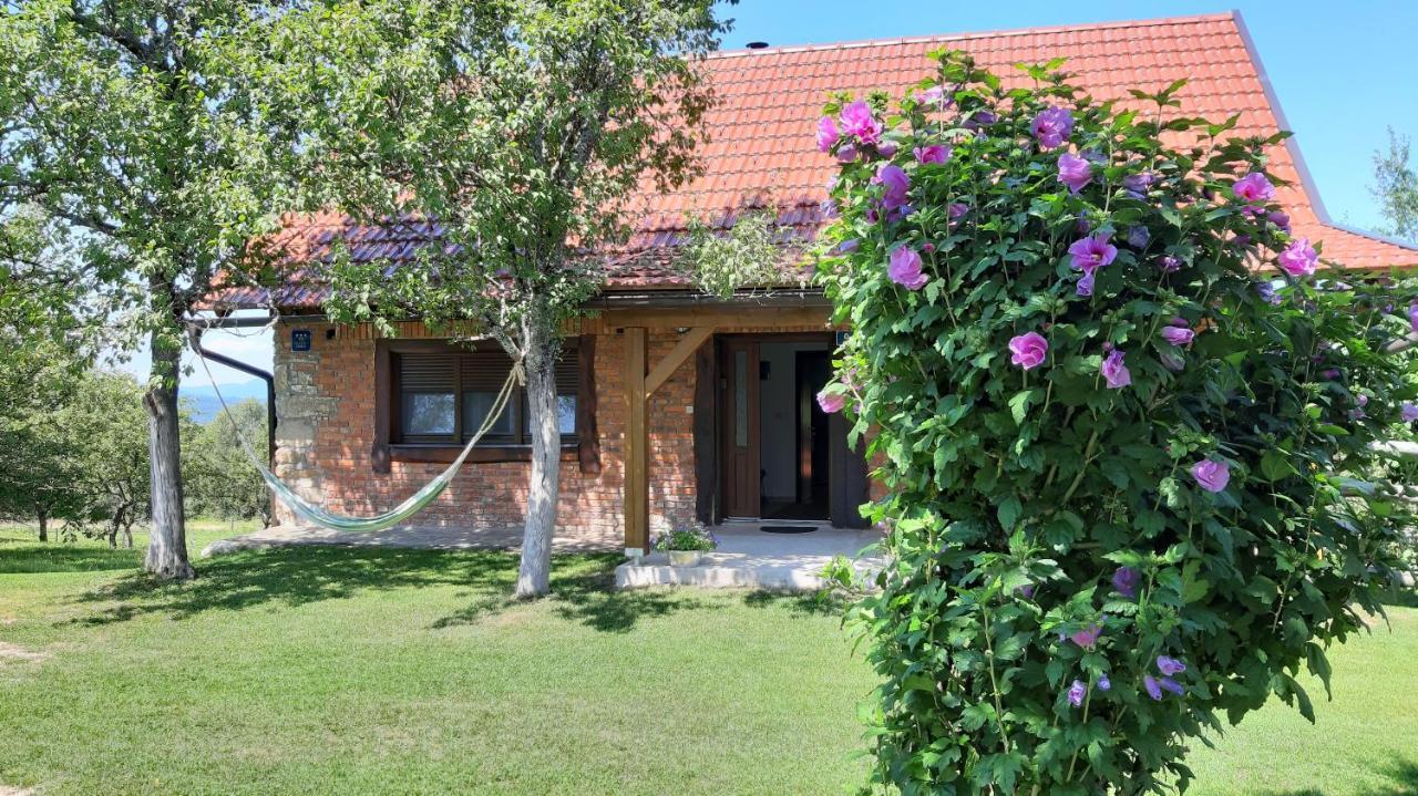 Holiday Home "Sleme" With Jacuzzi, Big Garden And Arbor With Fireplace Skrad Exterior foto